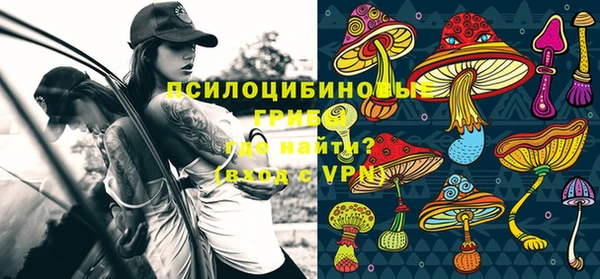прущая мука Верхний Тагил